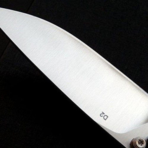 Eafengrow EF3 Outdoor Pocket Knife Folding Hunting Knife with D2 B...