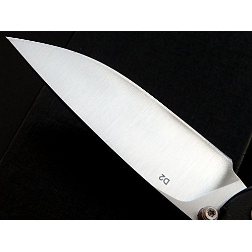 Eafengrow EF3 Outdoor Pocket Knife Folding Hunting Knife with D2 B...