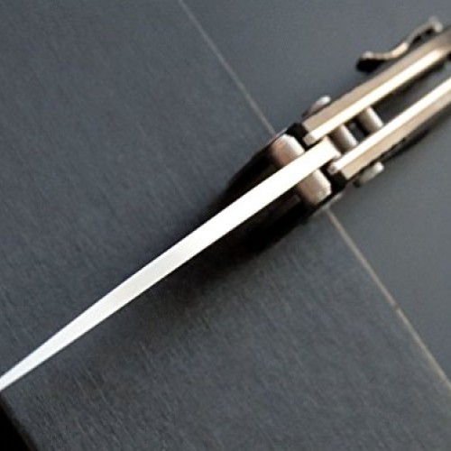 Eafengrow EF3 Outdoor Pocket Knife Folding Hunting Knife with D2 B...