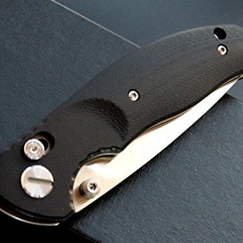 Eafengrow EF3 Outdoor Pocket Knife Folding Hunting Knife with D2 B...