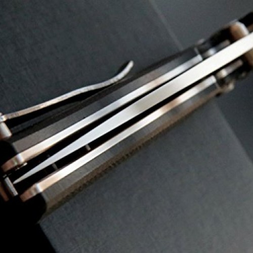 Eafengrow EF3 Outdoor Pocket Knife Folding Hunting Knife with D2 B...