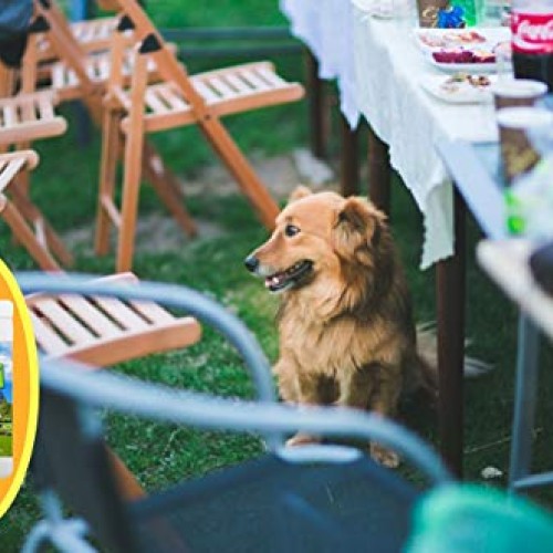Earth Care Pets and Skunk Odor Absorber for lawns, patios, Decks, ...