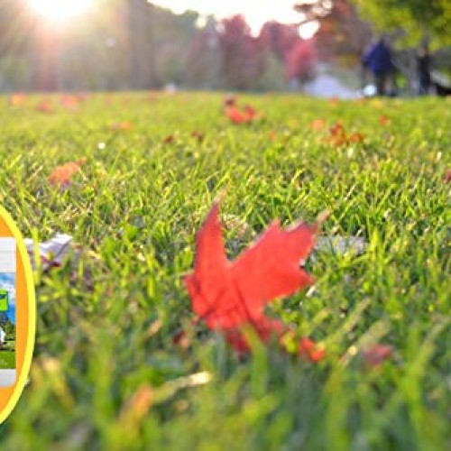 Earth Care Pets and Skunk Odor Absorber for lawns, patios, Decks, ...