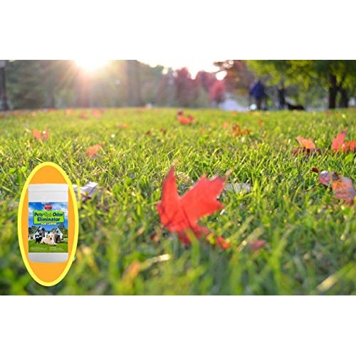 Earth Care Pets and Skunk Odor Absorber for lawns, patios, Decks, ...