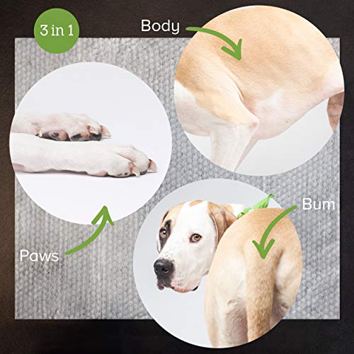 Earth Rated Dog Wipes, 400 Plant-Based and Compostable Wipes for D...