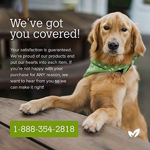 Earth Rated Dog Wipes, 400 Plant-Based and Compostable Wipes for D...
