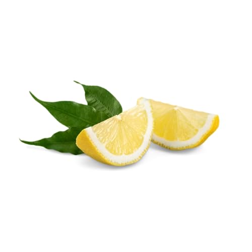 Earthborn Elements Citric Acid, Food Safe, Preservative & Cleaner ...