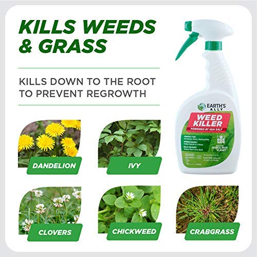 Earths Ally Weed and Grass Killer Spray | 24 fl. oz. Ready-to-Use...