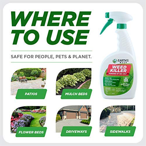 Earths Ally Weed and Grass Killer Spray | 24 fl. oz. Ready-to-Use...
