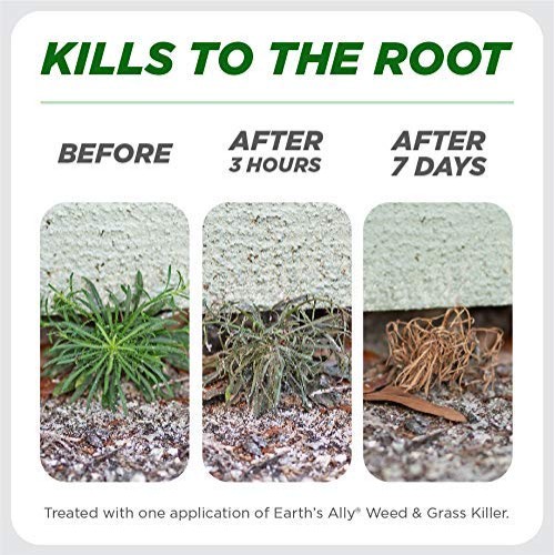 Earths Ally Weed and Grass Killer Spray | 24 fl. oz. Ready-to-Use...