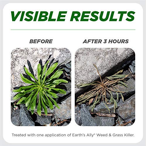Earths Ally Weed and Grass Killer Spray | 24 fl. oz. Ready-to-Use...