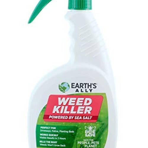 Earths Ally Weed and Grass Killer Spray | 24 fl. oz. Ready-to-Use...