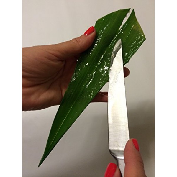 Aloe Vera Gel - 99.75% Organic, 12 oz Great for Face, Hair, Acne, ...