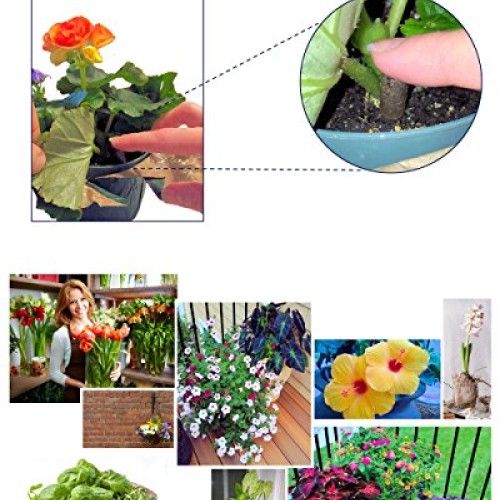 EarthPods Best Root Starter Fertilizer – Easy Organic Plant Food S...