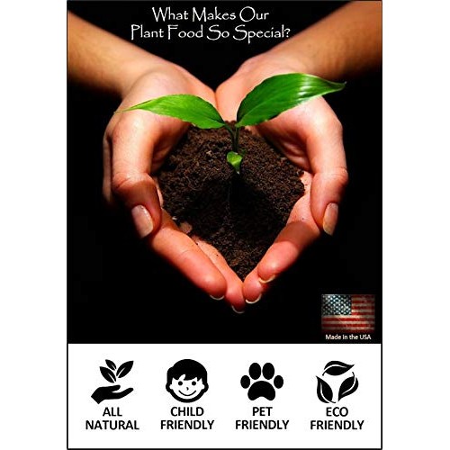 EarthPods Premium Cactus & Succulent Plant Food – Easy Organic Fer...