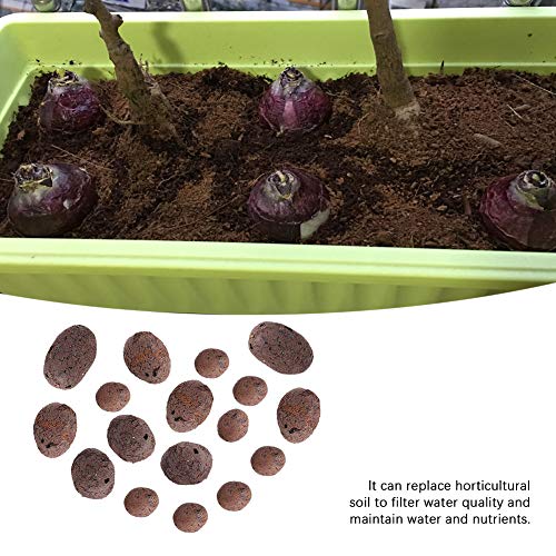 Clay Pebbles - 100g Hydroponic Clay Pebbles Growing Media Anion Cl...