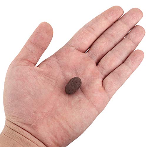 Clay Pebbles - 100g Hydroponic Clay Pebbles Growing Media Anion Cl...