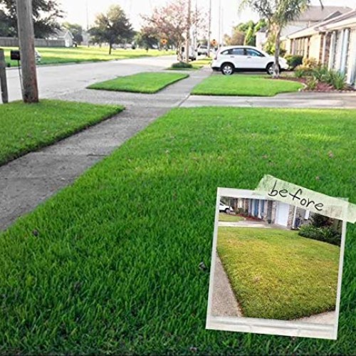 EasyGo Product Milorganite 32 lbs. Slow-Release Nitrogen Fertilize...