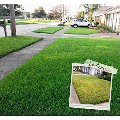 EasyGo Product Milorganite 32 lbs. Slow-Release Nitrogen Fertilize...