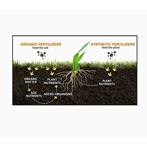 EasyGo Product Milorganite 32 lbs. Slow-Release Nitrogen Fertilize...
