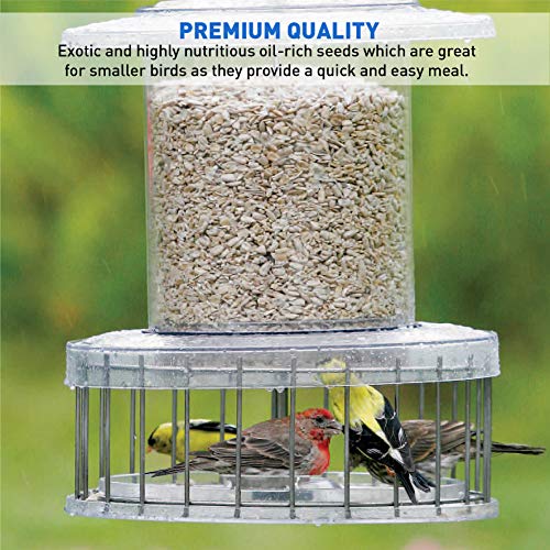 EasyGoProdcuts Sunflower Kernels - Medium Sun Flower Wild Bird See...