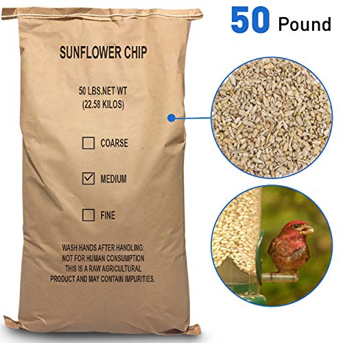 EasyGoProdcuts Sunflower Kernels - Medium Sun Flower Wild Bird See...