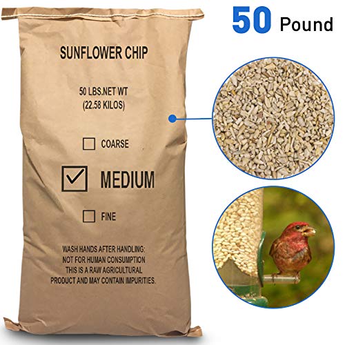 EasyGoProdcuts Sunflower Kernels - Medium Sun Flower Wild Bird See...
