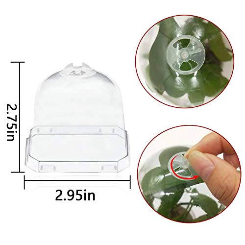 EBaokuup 10PCS Plant Nursery Pots with Humidity Dome, 3 Soft Tran...