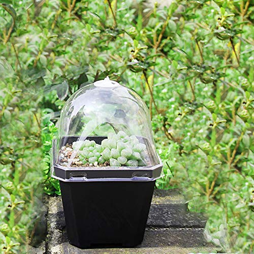 EBaokuup 10PCS Plant Nursery Pots with Humidity Dome, 3 Soft Tran...