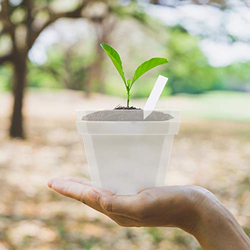 EBaokuup 4 Transparent Plant Nursery Pots with Humidity Dome, 10P...
