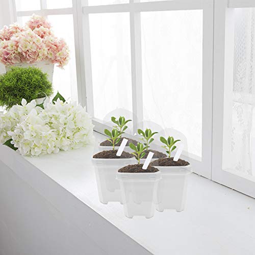 EBaokuup 4 Transparent Plant Nursery Pots with Humidity Dome, 10P...