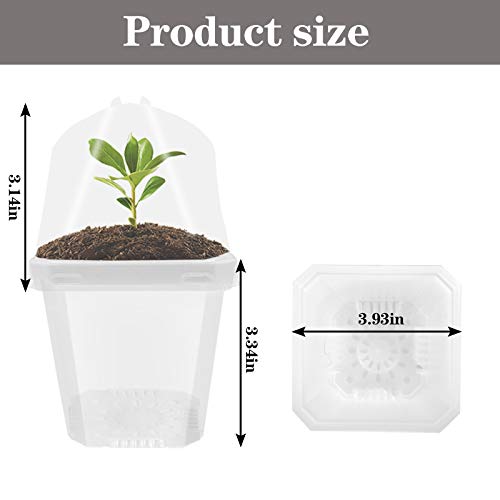 EBaokuup 4 Transparent Plant Nursery Pots with Humidity Dome, 10P...