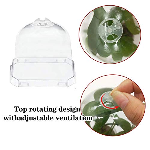 EBaokuup 4 Transparent Plant Nursery Pots with Humidity Dome, 10P...