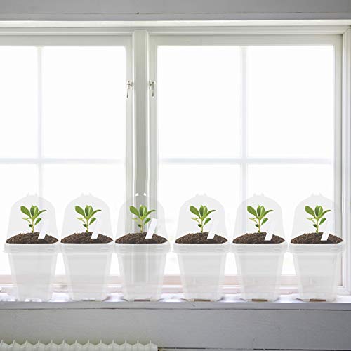 EBaokuup 4 Transparent Plant Nursery Pots with Humidity Dome, 10P...