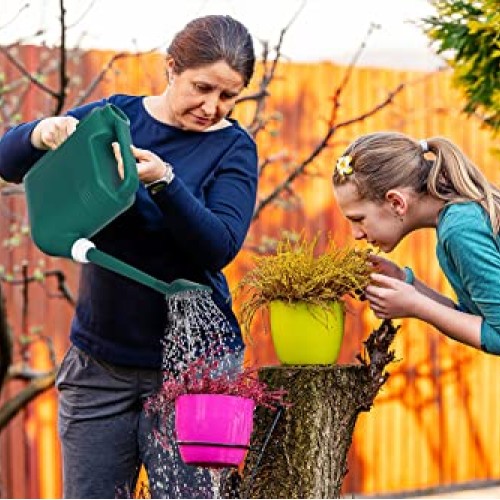 1.5 Gallon Watering Can for Outdoor & Indoor Plants, Large Garden ...