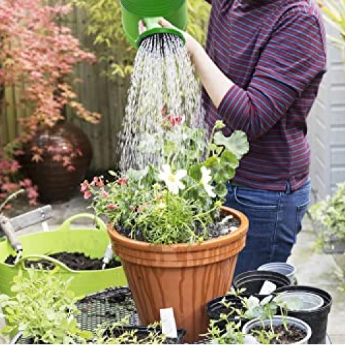 1.5 Gallon Watering Can for Outdoor & Indoor Plants, Large Garden ...