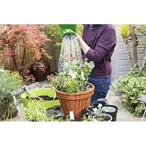 1.5 Gallon Watering Can for Outdoor & Indoor Plants, Large Garden ...