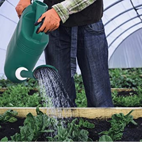 1.5 Gallon Watering Can for Outdoor & Indoor Plants, Large Garden ...