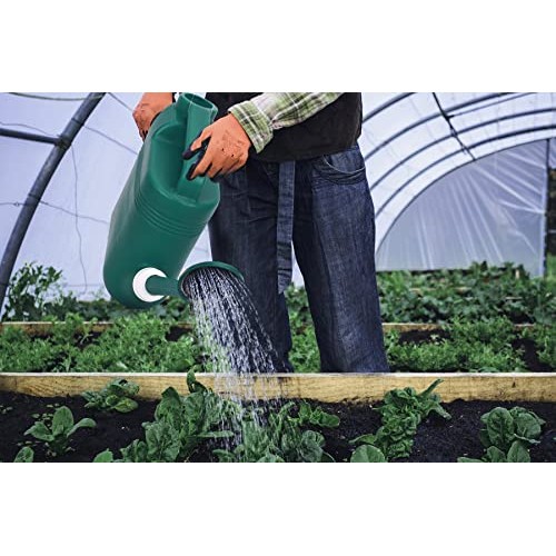 1.5 Gallon Watering Can for Outdoor & Indoor Plants, Large Garden ...