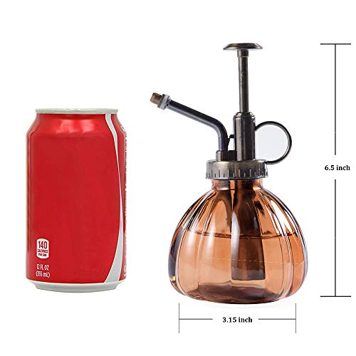 Plant Mister, 6.5 Tall Vintage Glass Water Spray Bottle with Top ...
