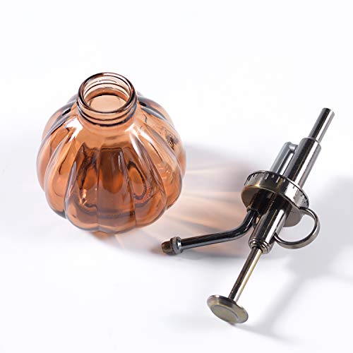 Plant Mister, 6.5 Tall Vintage Glass Water Spray Bottle with Top ...