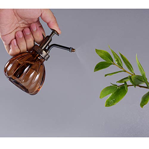 Plant Mister, 6.5 Tall Vintage Glass Water Spray Bottle with Top ...