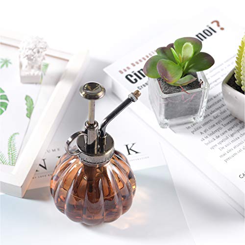 Plant Mister, 6.5 Tall Vintage Glass Water Spray Bottle with Top ...