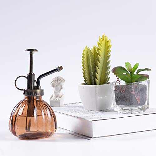 Plant Mister, 6.5 Tall Vintage Glass Water Spray Bottle with Top ...