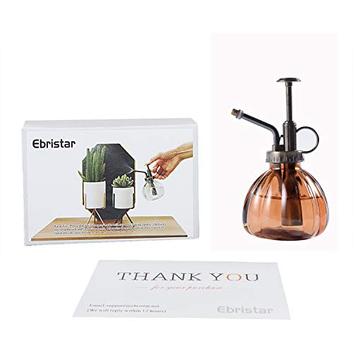 Plant Mister, 6.5 Tall Vintage Glass Water Spray Bottle with Top ...