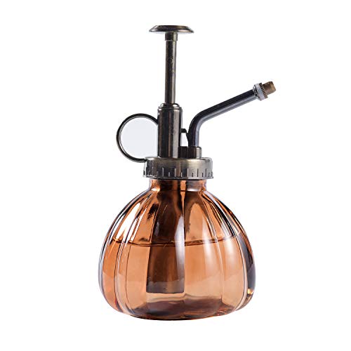 Plant Mister, 6.5 Tall Vintage Glass Water Spray Bottle with Top ...