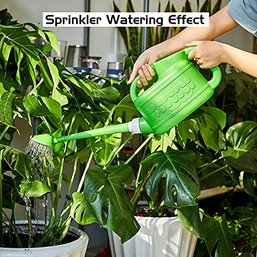 Plastic Watering Can for Indoor & Outdoor Plants 1 Gallon/4-Liter,...