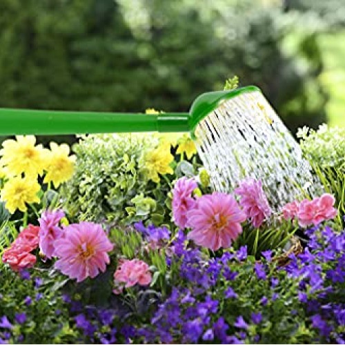 Plastic Watering Can for Indoor & Outdoor Plants 1 Gallon/4-Liter,...