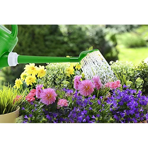 Plastic Watering Can for Indoor & Outdoor Plants 1 Gallon/4-Liter,...