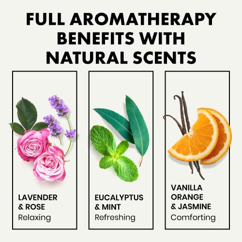 Scented Aromatherapy Shower Bombs 6 Pack - Relaxation, Stress Reli...